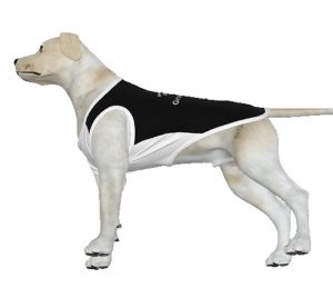 dog grooming lg vest 2